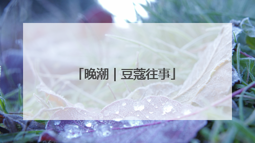 晚潮｜豆蔻往事