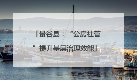 景谷县：“公房社管”提升基层治理效能