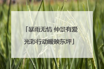 暴雨无情 仲景有爱 光彩行动暖映东坪