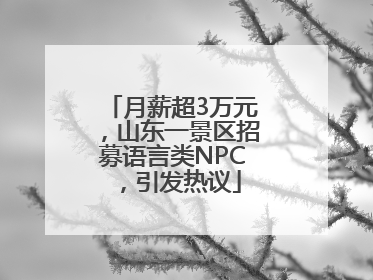 月薪超3万元，山东一景区招募语言类NPC，引发热议