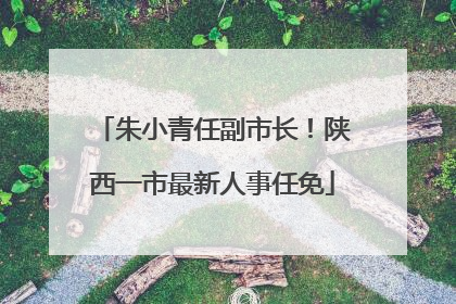 朱小青任副市长！陕西一市最新人事任免