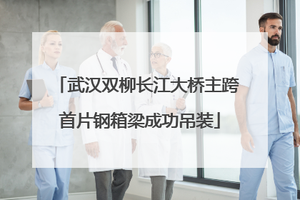 武汉双柳长江大桥主跨首片钢箱梁成功吊装