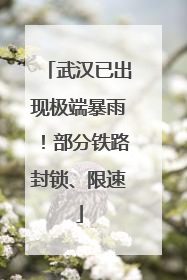 武汉已出现极端暴雨！部分铁路封锁、限速