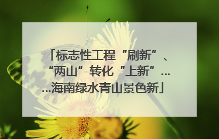 标志性工程“刷新”、“两山”转化“上新”……海南绿水青山景色新