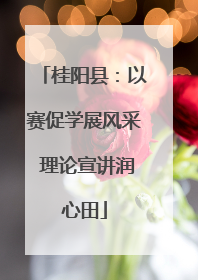 桂阳县：以赛促学展风采 理论宣讲润心田