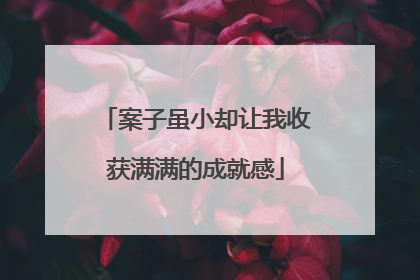 案子虽小却让我收获满满的成就感