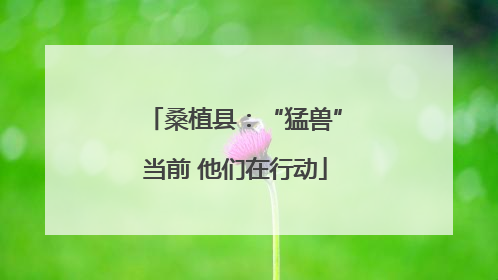 桑植县：“猛兽”当前 他们在行动