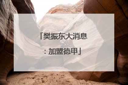 樊振东大消息：加盟德甲