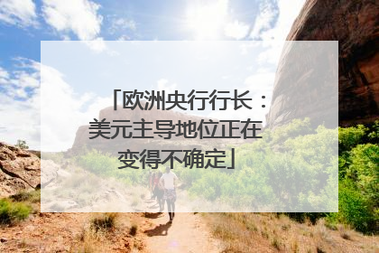 欧洲央行行长：美元主导地位正在变得不确定