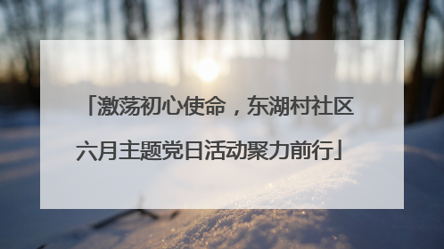 激荡初心使命，东湖村社区六月主题党日活动聚力前行
