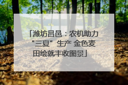 潍坊昌邑：农机助力“三夏”生产 金色麦田绘就丰收图景