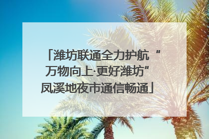 潍坊联通全力护航“万物向上·更好潍坊”凤溪地夜市通信畅通