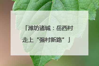 潍坊诸城：岳西村走上“强村新路”