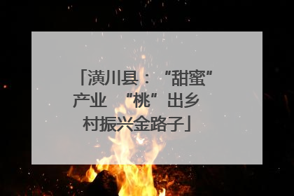 潢川县：“甜蜜”产业  “桃”出乡村振兴金路子