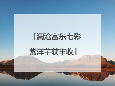 澜沧富东七彩紫洋芋获丰收