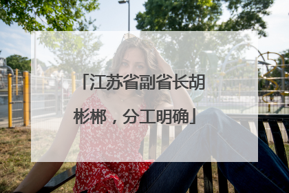 江苏省副省长胡彬郴，分工明确