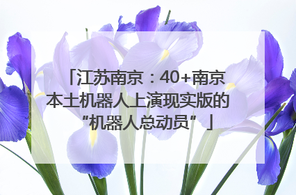 江苏南京：40+南京本土机器人上演现实版的“机器人总动员”
