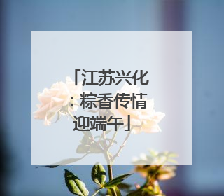 江苏兴化：粽香传情迎端午