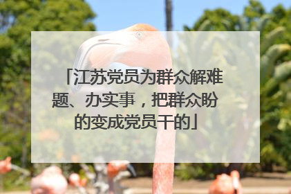 江苏党员为群众解难题、办实事，把群众盼的变成党员干的