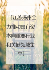 江苏扬州全力推动国有资本向重要行业和关键领域集中