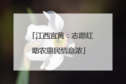 江西宜黄：志愿红助农惠民情意浓