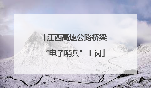 江西高速公路桥梁“电子哨兵”上岗