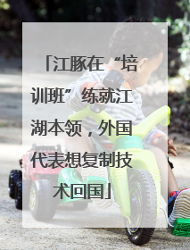 江豚在“培训班”练就江湖本领,外国代表想复制技术回国