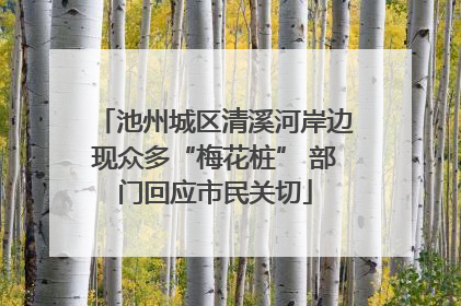 池州城区清溪河岸边现众多“梅花桩” 部门回应市民关切