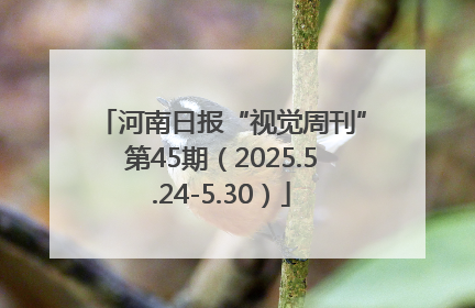 河南日报“视觉周刊”第45期（2025.5.24-5.30）
