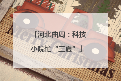 河北曲周：科技小院忙“三夏”