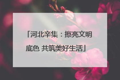 河北辛集：擦亮文明底色 共筑美好生活