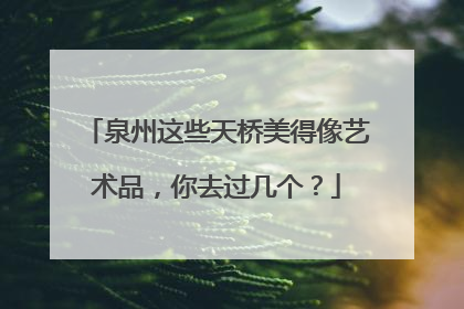 泉州这些天桥美得像艺术品，你去过几个？