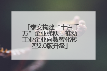 泰安构建“十百千万”企业梯队，推动工业企业向数智化转型2.0版升级