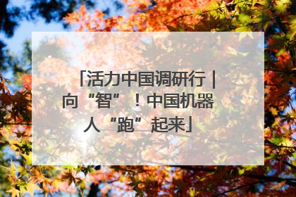 活力中国调研行｜向“智”！中国机器人“跑”起来