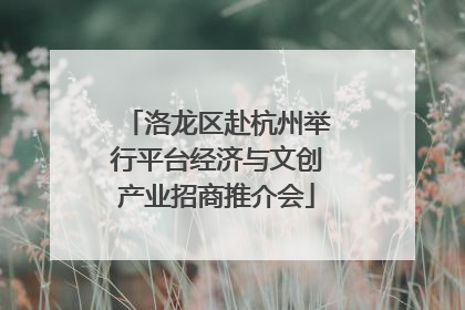 洛龙区赴杭州举行平台经济与文创产业招商推介会