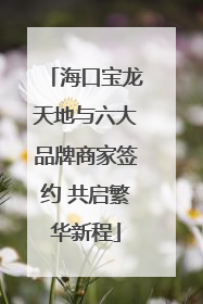 海口宝龙天地与六大品牌商家签约 共启繁华新程