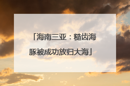海南三亚：糙齿海豚被成功放归大海