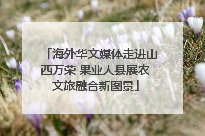 海外华文媒体走进山西万荣 果业大县展农文旅融合新图景