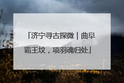 济宁寻古探微｜曲阜霸王坟，项羽魂归处