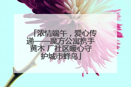 浓情端午，爱心传递——魔方公寓携手黄木 厂社区暖心守护城市蜂鸟