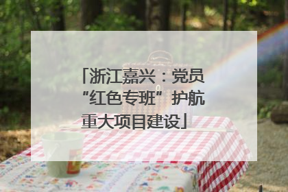 浙江嘉兴：党员“红色专班”护航重大项目建设