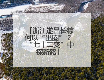 浙江遂昌长粽何以“出圈”？“七十二变”中探新路