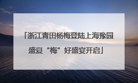 浙江青田杨梅登陆上海豫园 盛夏“梅”好盛宴开启