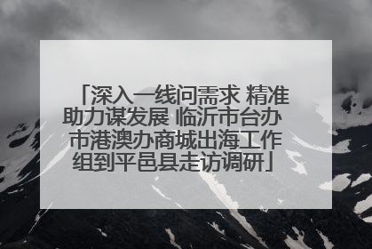深入一线问需求 精准助力谋发展 临沂市台办 市港澳办商城出海工作组到平邑县走访调研