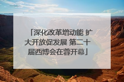 深化改革增动能 扩大开放促发展 第二十届西博会在蓉开幕
