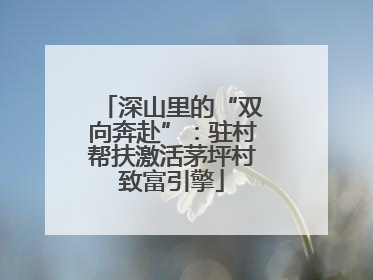 深山里的“双向奔赴”：驻村帮扶激活茅坪村致富引擎