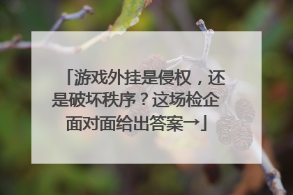 游戏外挂是侵权，还是破坏秩序？这场检企面对面给出答案→