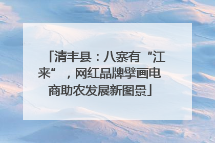 清丰县：八寨有“江来”，网红品牌擘画电商助农发展新图景