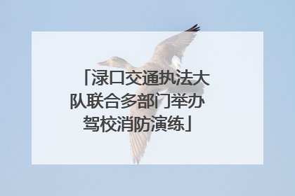 渌口交通执法大队联合多部门举办驾校消防演练