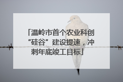 温岭市首个农业科创“硅谷”建设提速，冲刺年底竣工目标